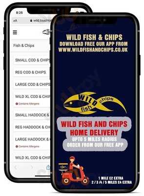 Wild Fish & Chips