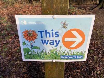 Delamere Forest Cafe