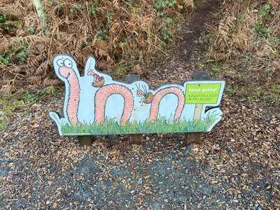 Delamere Forest Cafe