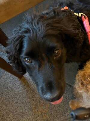 The Harbourside Refuge