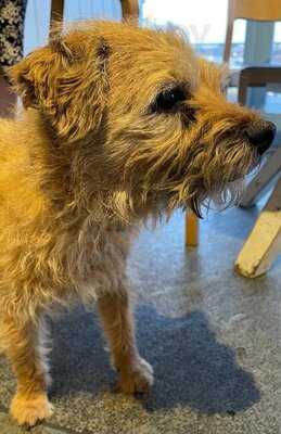 The Harbourside Refuge