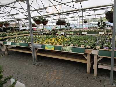 Dobbies Garden Centre