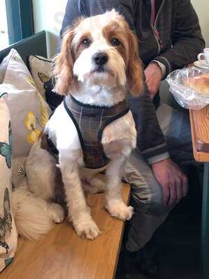 Barney's Delicatessen In Hove