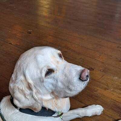 Seven Districts Coffee