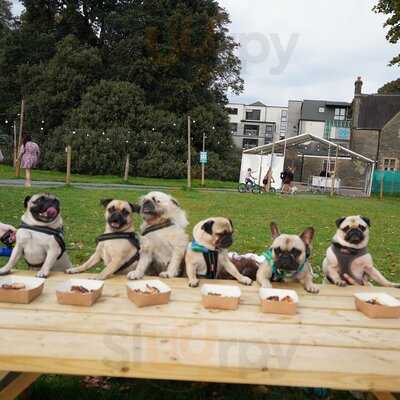 Frango Charcoal Chicken