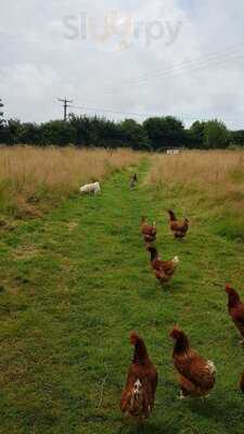 Needlemakers - Roundhill