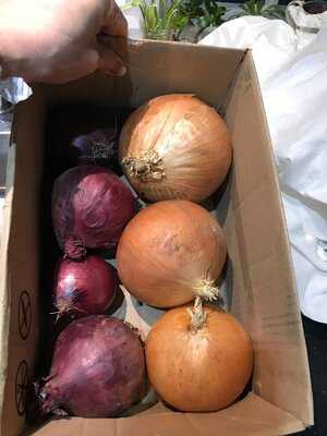 Hank's Deli And Cafe