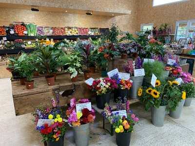 Wild Raven Tea Rooms