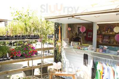 Wild Raven Tea Rooms