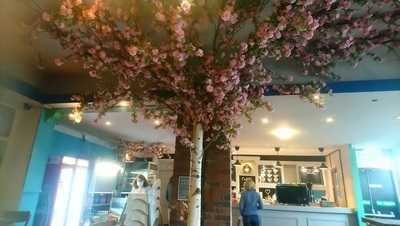 The Blossom Tree Cafe
