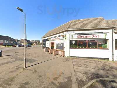The Blossom Tree Cafe