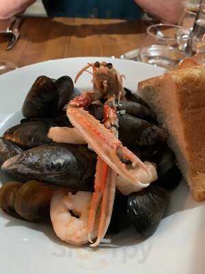 The Ostentatious Fox