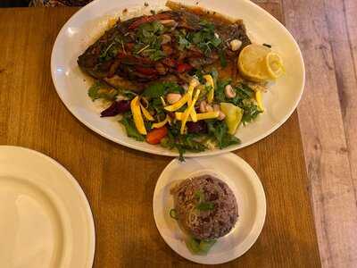 Tropical Turtle Caribbean Restaurant