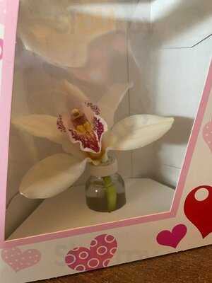 Grand Village Imperial