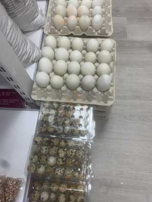 Loi Trang Supermarket