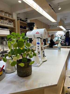 The Coffee Obsessive