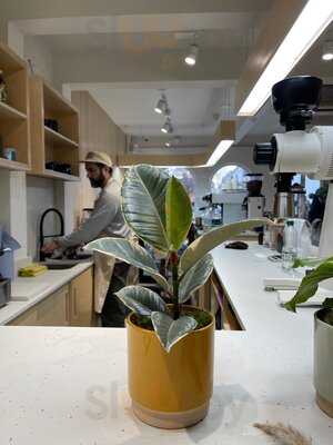 The Coffee Obsessive