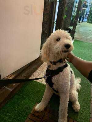 Humble Thali Feltham