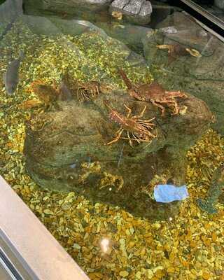 Hatch On The Harbour