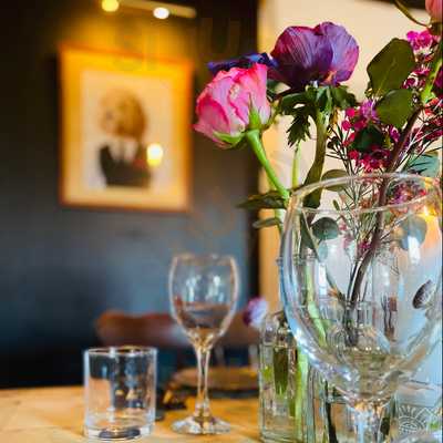 The Springer Spaniel