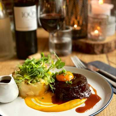 The Springer Spaniel