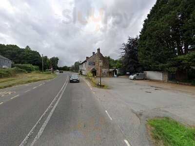 The Springer Spaniel