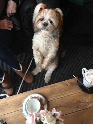 Branch 14 Coffee Bar