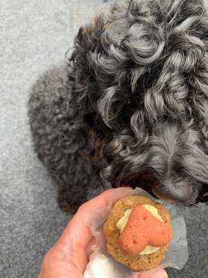 Branch 14 Coffee Bar