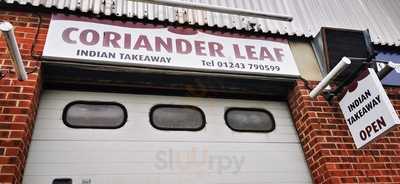 Corriander Leaf