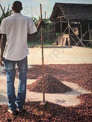 The Bath Chocolate Company