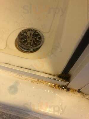 Furzedown Brasserie & Bar