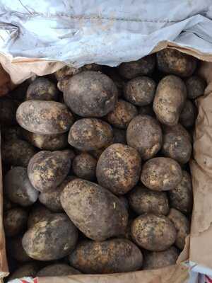 Seven Kings Fish Bar