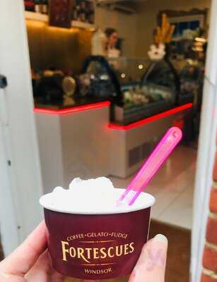 Fortescues Of Windsor