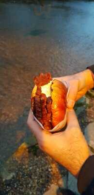 Risaro @ The Piccadilly