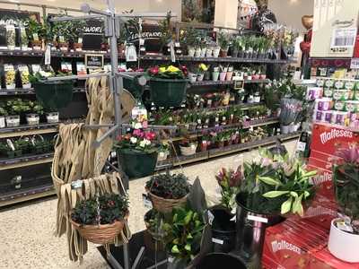 Morrisons Glasgow - Auchinlea Cafe