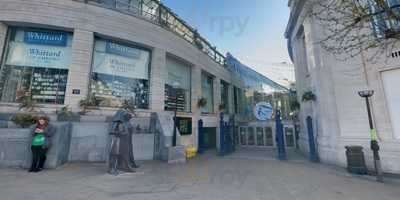 Whittard Of Chelsea Wimbledon