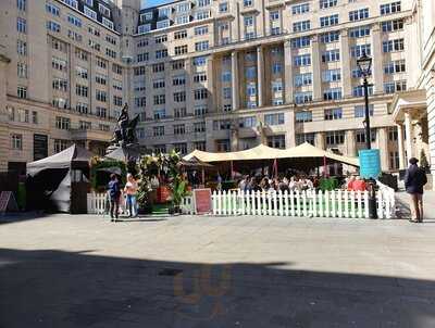 Spring In The Square Bar