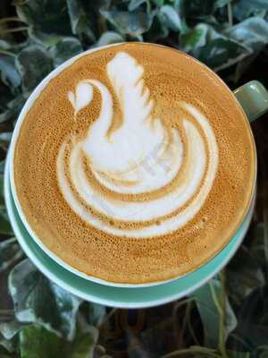 The Salisbury Orangery