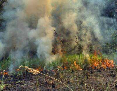 Slow Response Coffee