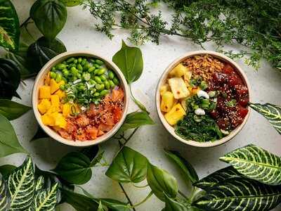 Island Poke Camden
