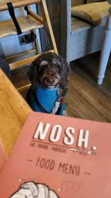 Nosh