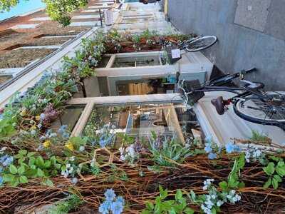 Chestnut Bakery Belgravia