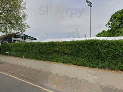 The Burrow At The Blues