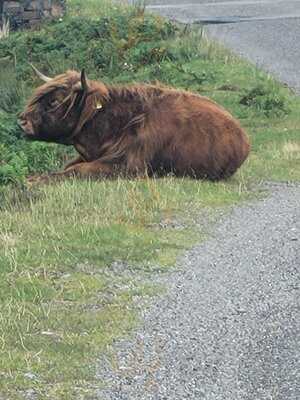 The Big Grill Society