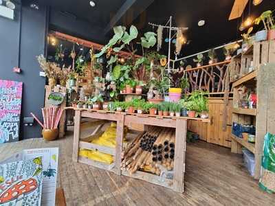 Leslie Terrance Cafe