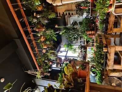 Leslie Terrance Cafe