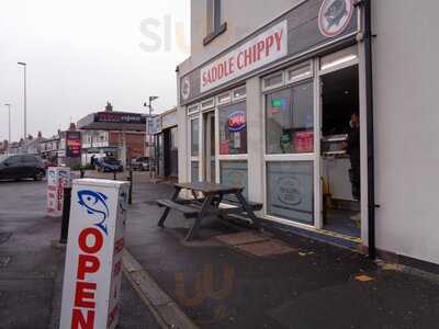 Saddle Chippy