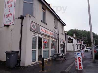 Saddle Chippy