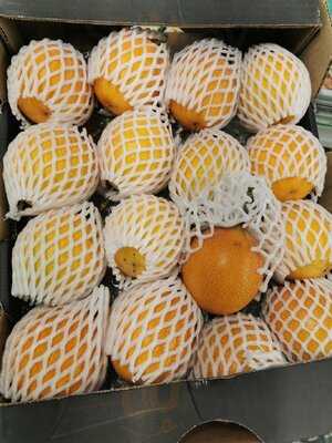 Oriental Grocery Food Store