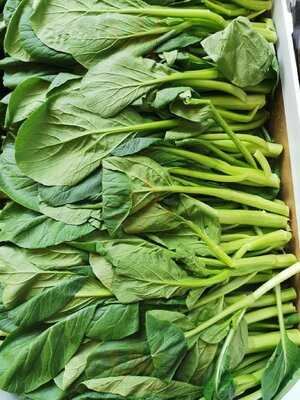 Oriental Grocery Food Store